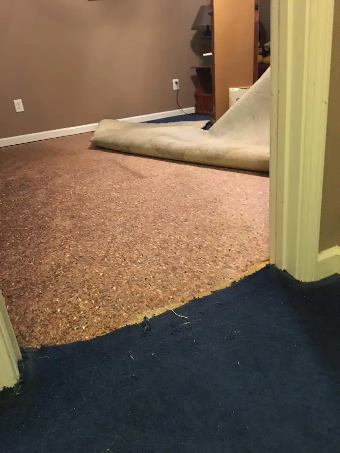 Carpet pad removal revealing water damage during Water Mitigation Services in Bethel Park
