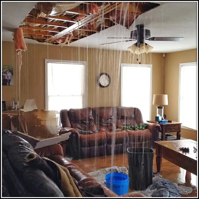 Water Damage Restoration services in Bethel Park, PA