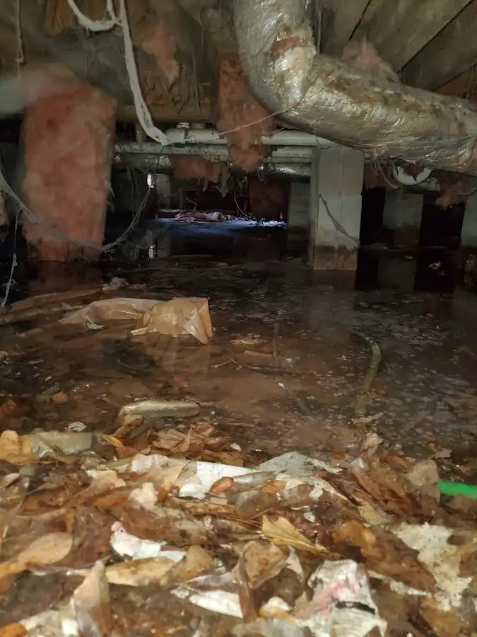 Crawl space flood assessment for Commercial Water Damage Restoration in Bethel Park
