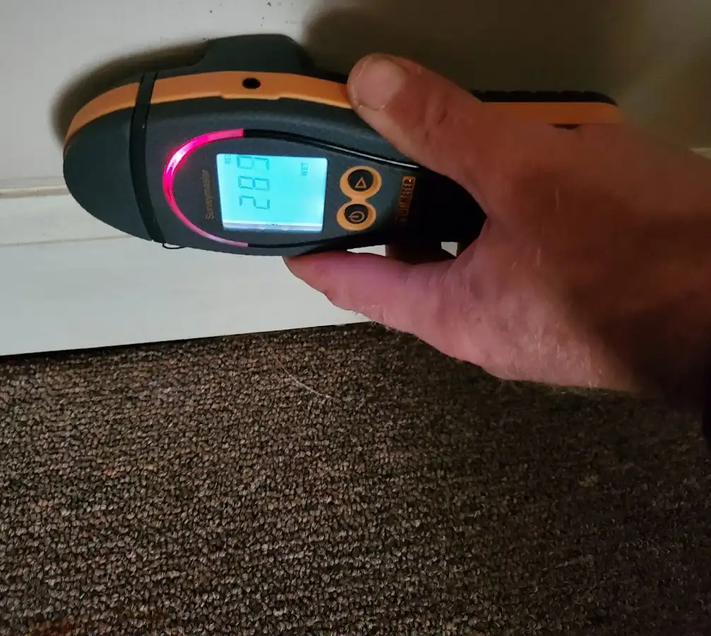 Moisture detection at baseboard during Sewage Cleanup & Sanitation in Bethel Park